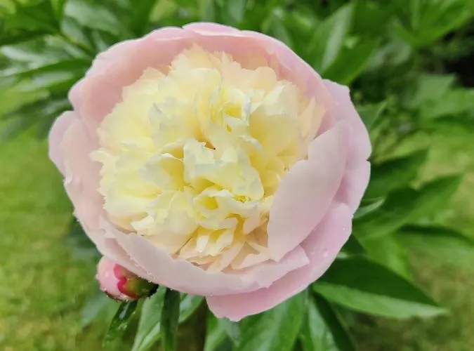 بيت للعطل Grete, An Der Weinstrasse